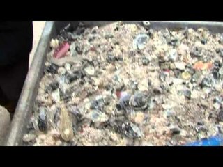 Royal Flush Girls in Murano