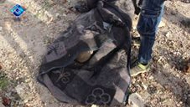 Multiple Airstrikes on East Damascus Hit Marketplace, Killing Many Civilians