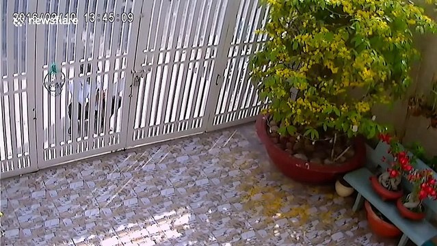 Un cambrioleur se casse la jambe en ouvrant un portail (Instant Karma)