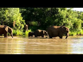 WPT Alpha8 Season 1 Johannesburg - Postgame Safari