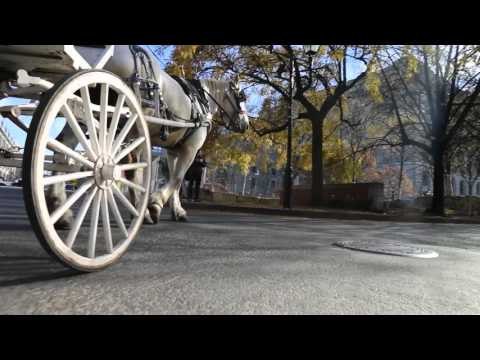 Season XIV partypoker WPT Montreal: Tour of Old Montreal