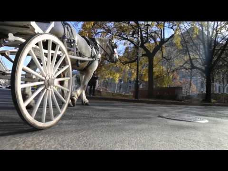 Season XIV partypoker WPT Montreal: Tour of Old Montreal