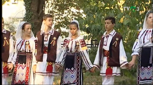 Nicoleta Radinciuc - Trec anii si nu se-ntorc (Popasuri folclorice - TVR 3 - 11.11.2017)