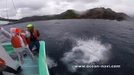 Tsugaru Japan, Mariel Hawley 2016