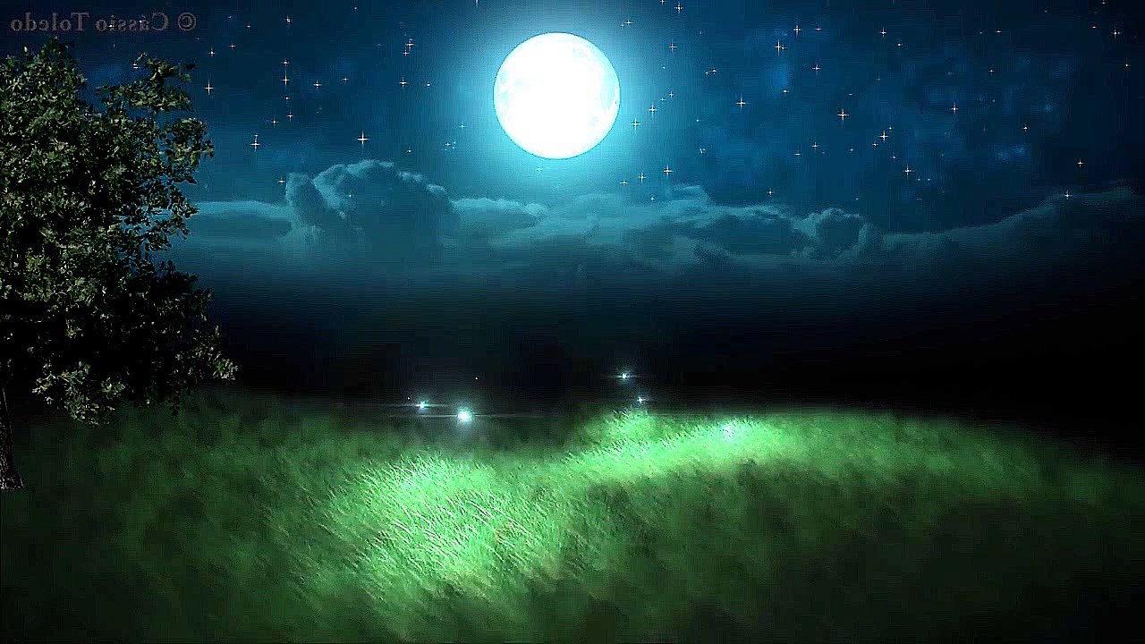 30 - DANZA DE AMOR BAJO LA LUNA