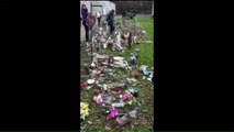 Loved Ones Devastated After Decorations Removed from Illinois Cemetery