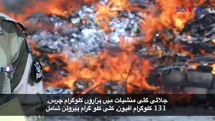 لاکھوں ڈالر کی ضبط شدہ منشیات نذر آتش