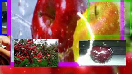 Bahaya Makan Buah Apel Jika...