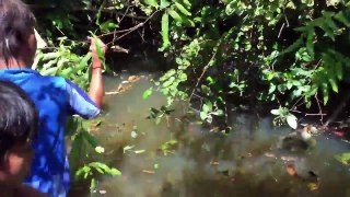 Top 10 Viral Videos Amazing Boys Catch Water Snake Using Traditional Tools In Cambodia