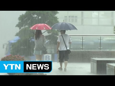 중부지방 내일까지 200mm 폭우...1호 태풍 전망은? / YTN (Yes! Top News)