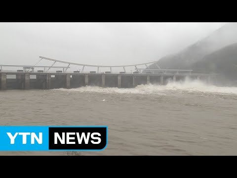 강원도 폭우 피해 속출...현재 상황은? / YTN (Yes! Top News)
