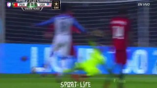 Portugal Vs USA 1-1  Highlights HD 14/11/2017