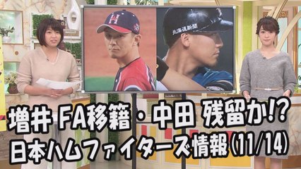 日本ハム 増井浩俊 FA移籍・中田翔 残留か？ 2017.11.14 日本ハムファイターズ情報 プロ野球