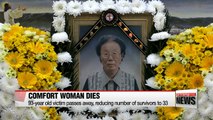Death of 'comfort woman' brings down number of registered survivors to 33