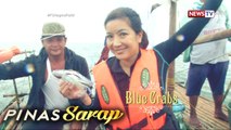 Pinas Sarap: Kara David, manghuhuli ng blue crabs!