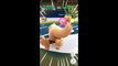 Pokémon GO Gym Battles Level 8 Gym Holiday Raichu DITTO Gengar Lapras Gyarados Dragonite & more