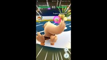Pokémon GO Gym Battles Level 8 Gym Holiday Raichu DITTO Gengar Lapras Gyarados Dragonite & more
