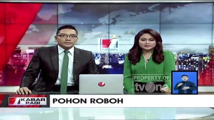 Detik-detik Pohon Beringin Tumbang di SMP Muhammadiyah Kebayoran