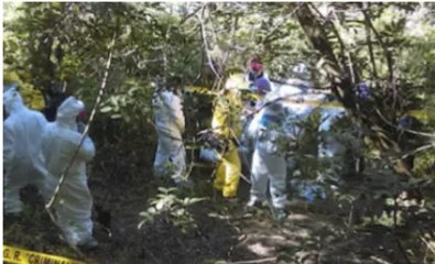 HALLAN 14 CUERPOS EN BARRANCA DE GUERRERO