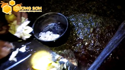 KÝ SỰ RỪNG NƯỚC LẠNH - Tập 4- Thả lưới bắt cá suối rừng Nước Lạnh