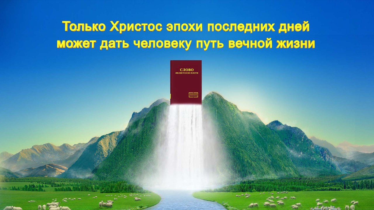 Христианские видео | Только Христос эпохи последних дней может дать человеку путь вечной жизни