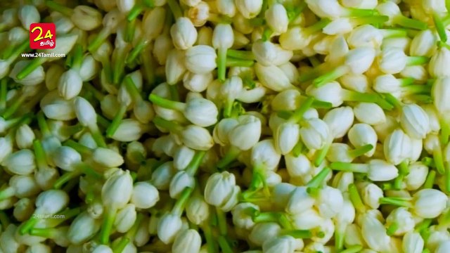 Outstanding Health Benefits Of Jasmine - Tamil Health Tips