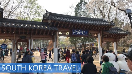 Mùa xuân Hàn Quốc: Seoul - Everland - Nami Island | Spring in Korea