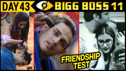 Hina SHAVES Priyank's Head | Vikas–Shilpa BEST FRIENDS | Bigg Boss 11 Day 43 | 13th Nov 2017 Update
