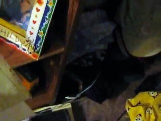 Just Another Random Sunday