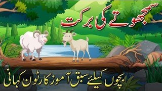 Cartoon Kahani for Kids in Urdu - Smajhotay Ki Barkat - Urdu Kids