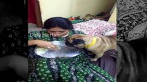 Woman Sharing food with her dog, Eating in same dish, Viral video
