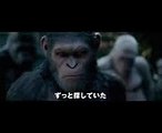 映画『猿の惑星：聖戦記(グレート・ウォー)』特報