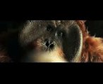 サルたちを結束させる美少女“ノバ”  映画『猿の惑星：聖戦記（グレート・ウォー）』特別映像