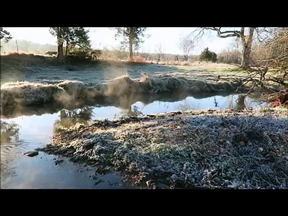 Cooking Chicken on the Cowboy Wok