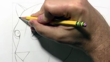 How to Draw a Leopard [Narrated, Step by Step]