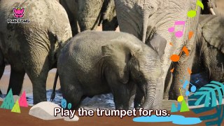Mr. Fun Elephant _ Elephant _ Animal Songs _ Pinkfong Songs for Children-z4FbTIldHys