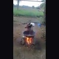ویڈیو میں دیکھیں اس بچے نے سردیوں میں گرم پانی سے نہانے کے لیے کیسا حیران کن طریقہ اپنا لیا۔ ویڈیو: اکبر بٹ۔ گجرات