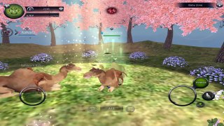 Wild Animals Online - Group of Camels - Android/iOS - Gameplay Episode 6