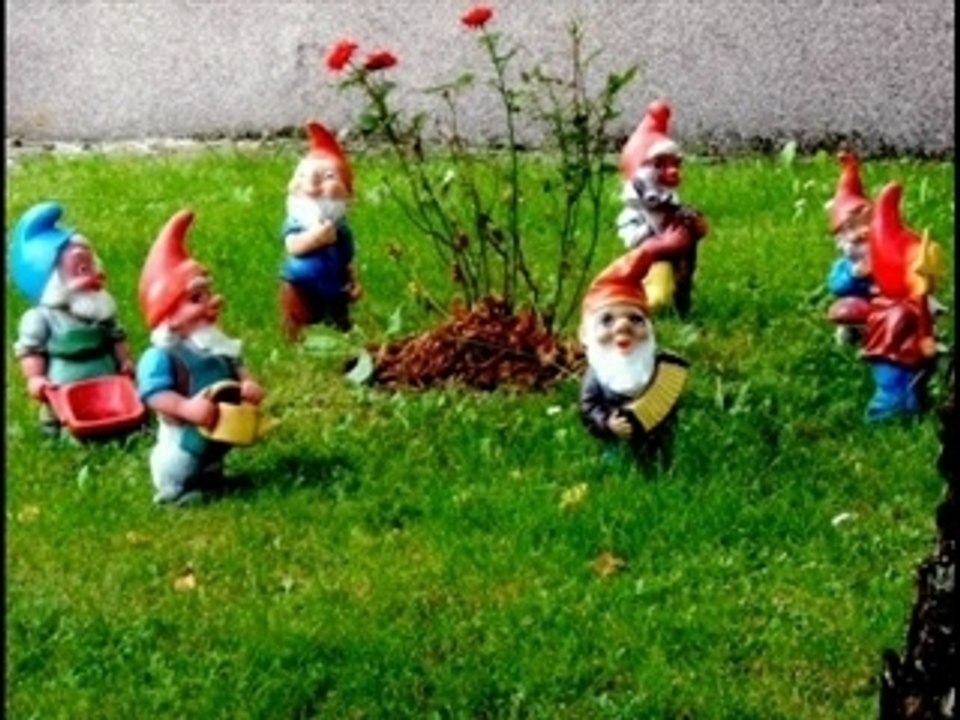 Dada - Nain de jardin