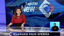 10 Paus Sperma Terdampar di Pantai Ujung Kareung