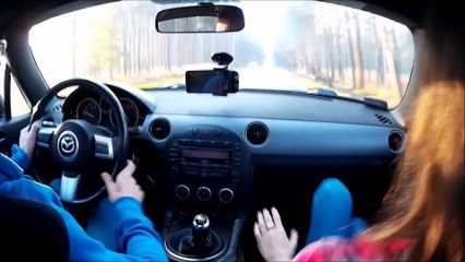 Un conducteur percute un cerf de plein fouet en Pologne