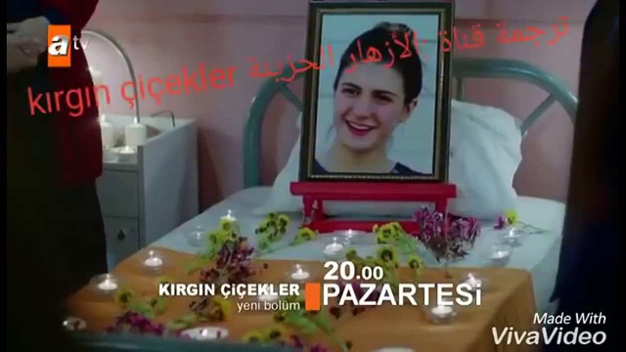 مسلسل الازهار الحزينة الحلقة 96 مترجمة قصة عشق