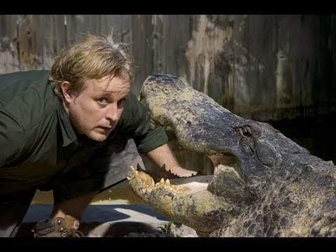 Florida Man Dangerously Attempts to Kiss Alligator