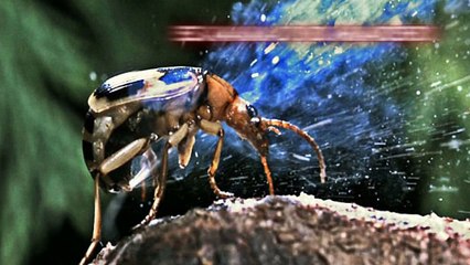 SI LLEGAS A VERLO, CORRE LO QUE MAS PUEDAS...