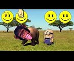 Wrong Heads BEAR Learn Animals Cartoon Funny Video for Kids Super Finger Family Nursery Rhymes