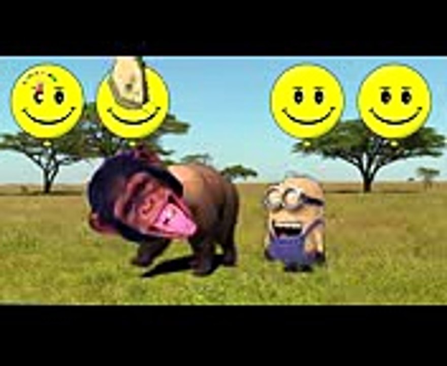 Wrong Heads BEAR Learn Animals Cartoon Funny Video for Kids Super Finger Family Nursery Rhymes