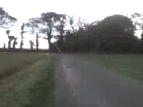 Nitro MK Pro Race 2 (prob)