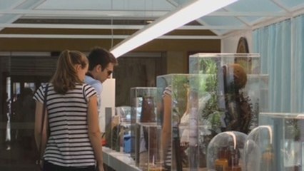 Un viaje de 5.000 años para conocer la historia de la medicina en el Museo de Farmacia luso