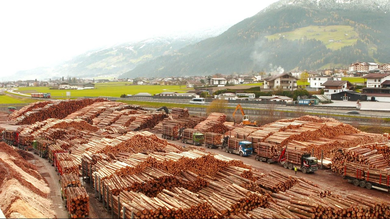 Timber business 'booming' as global demand soars