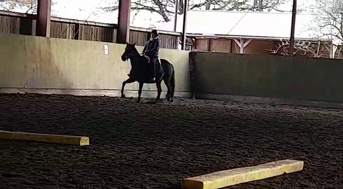 Kaja Kurs 2017-11-12 - 3.Einheit